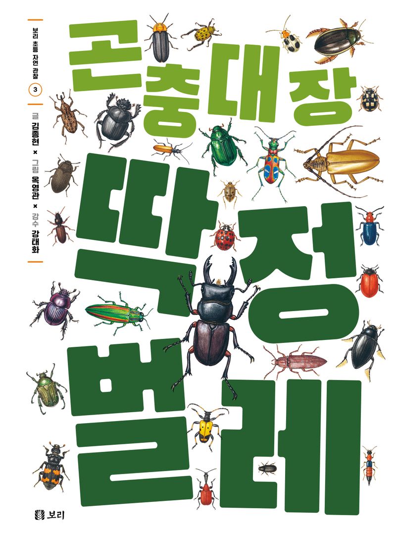 곤충대장 딱정벌레