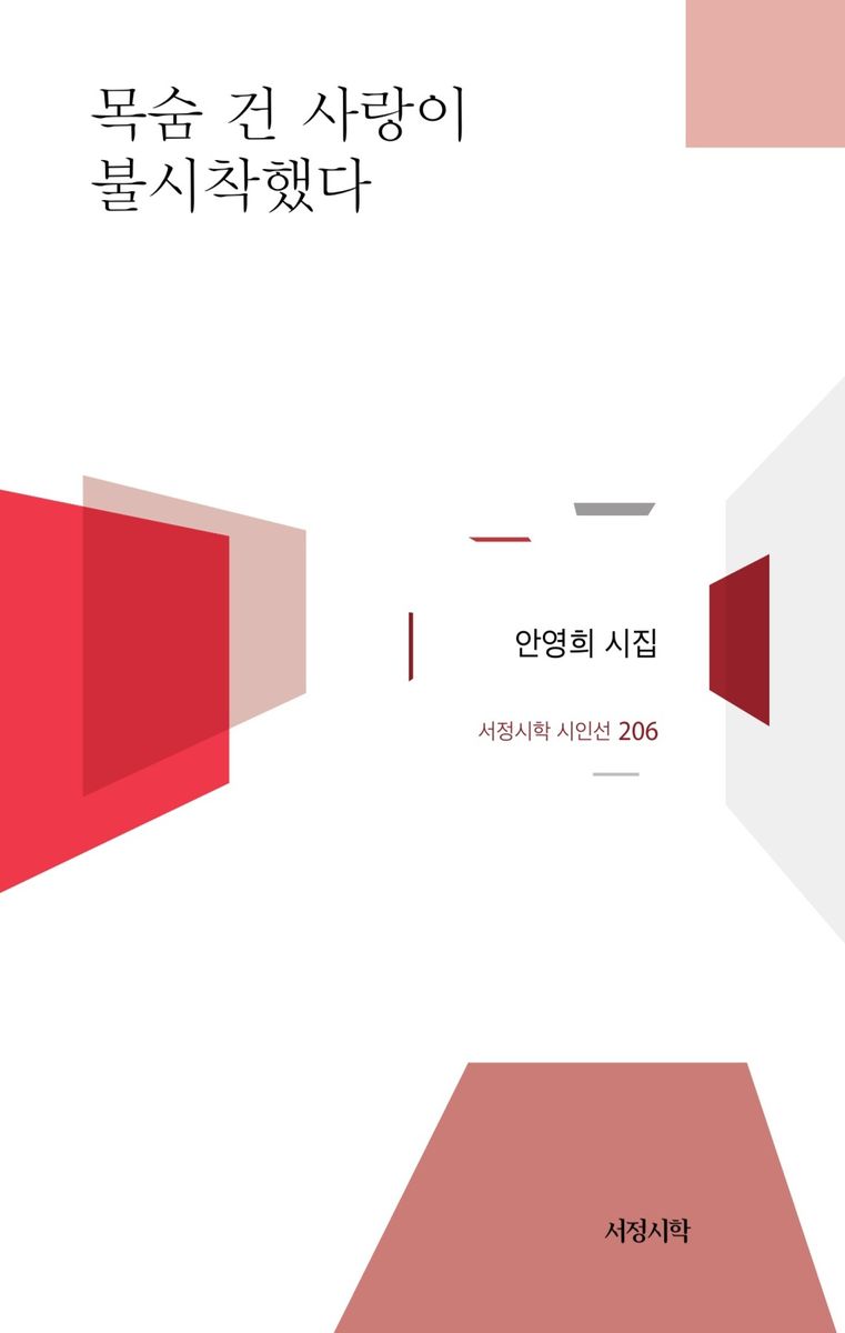 목숨 건 사랑이 불시착했다 : 안영희 시집