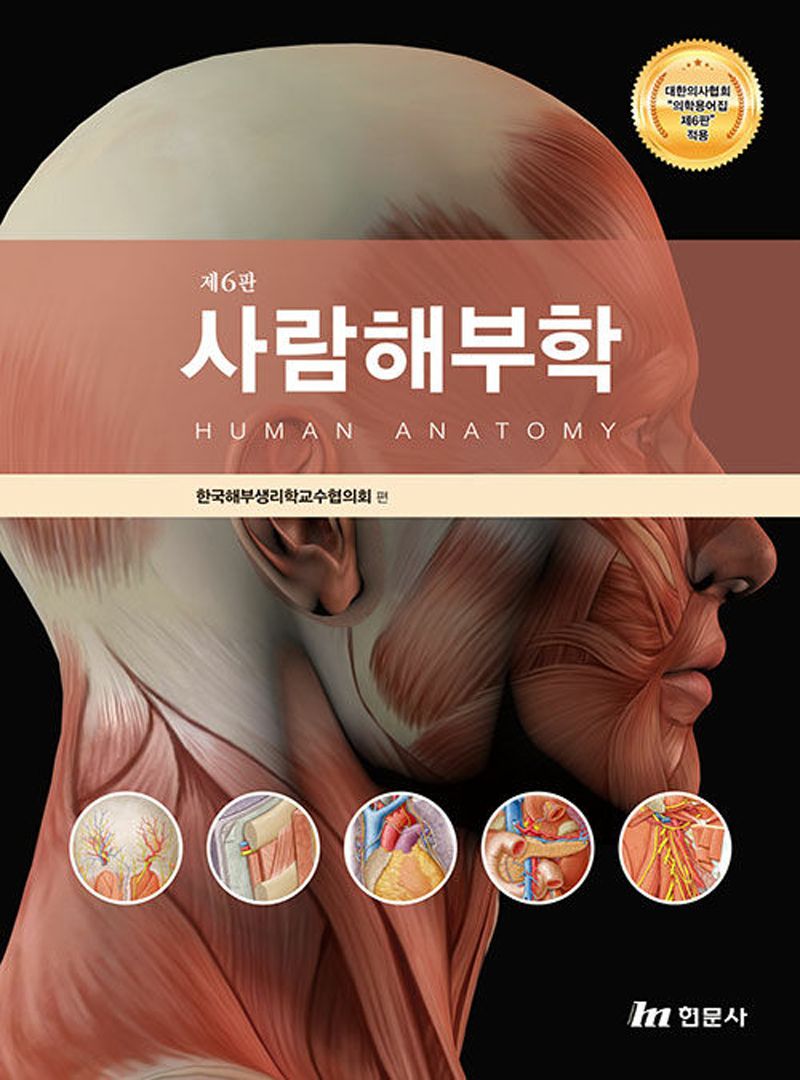 (새용어) 사람해부학 = Human anatomy