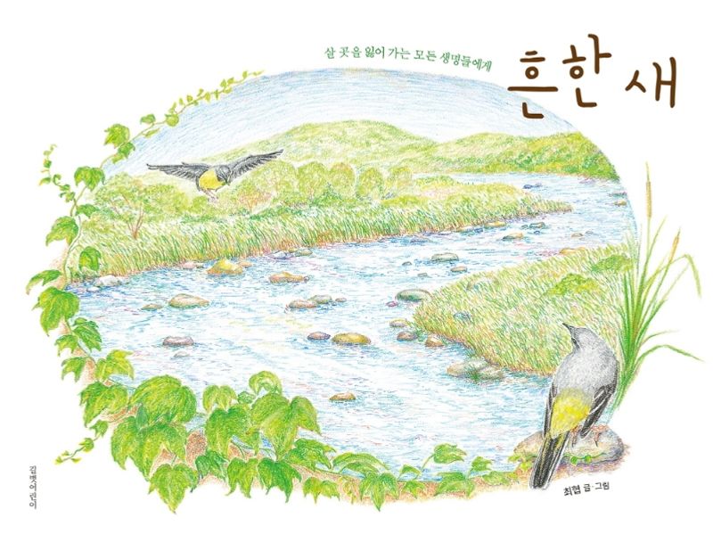 흔한 새 : 살 곳을 잃어 가는 모든 생명들에게 