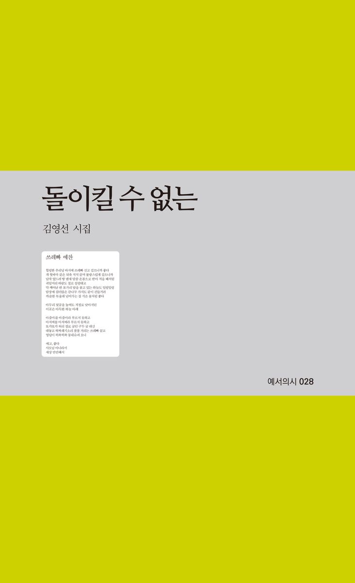 돌이킬 수 없는 : 김영선 시집