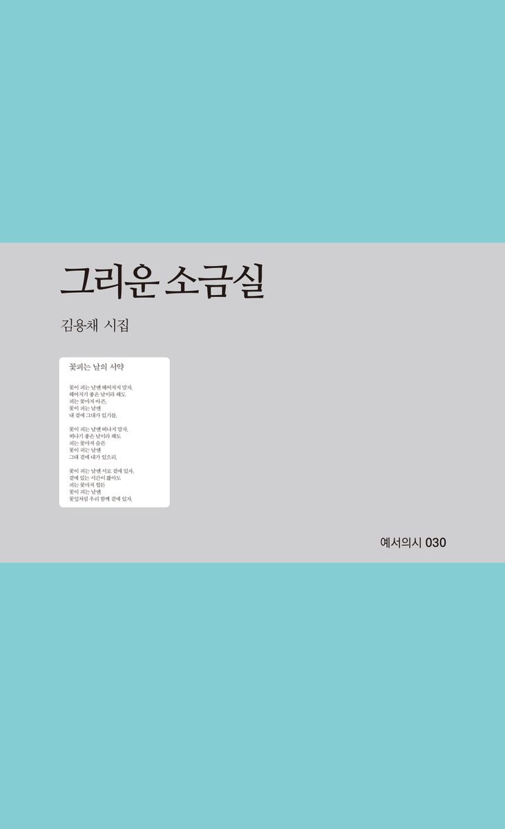 그리운 소금실 : 김용채 시집