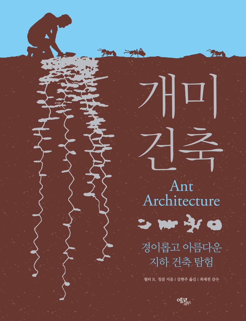 개미 건축 : 경이롭고 아름다운 지하 건축 탐험