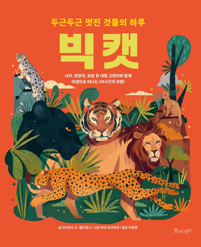 빅캣 : 사자, 호랑이, 표범 등 대형 고양이와 함께 야생으로 떠나는 24시간의 모험!