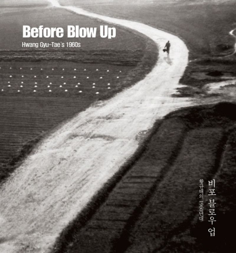 비포 블로우 업 : 황규태의 1960년대 = Before blow up : Hwang Gyu-Tae's 1960s