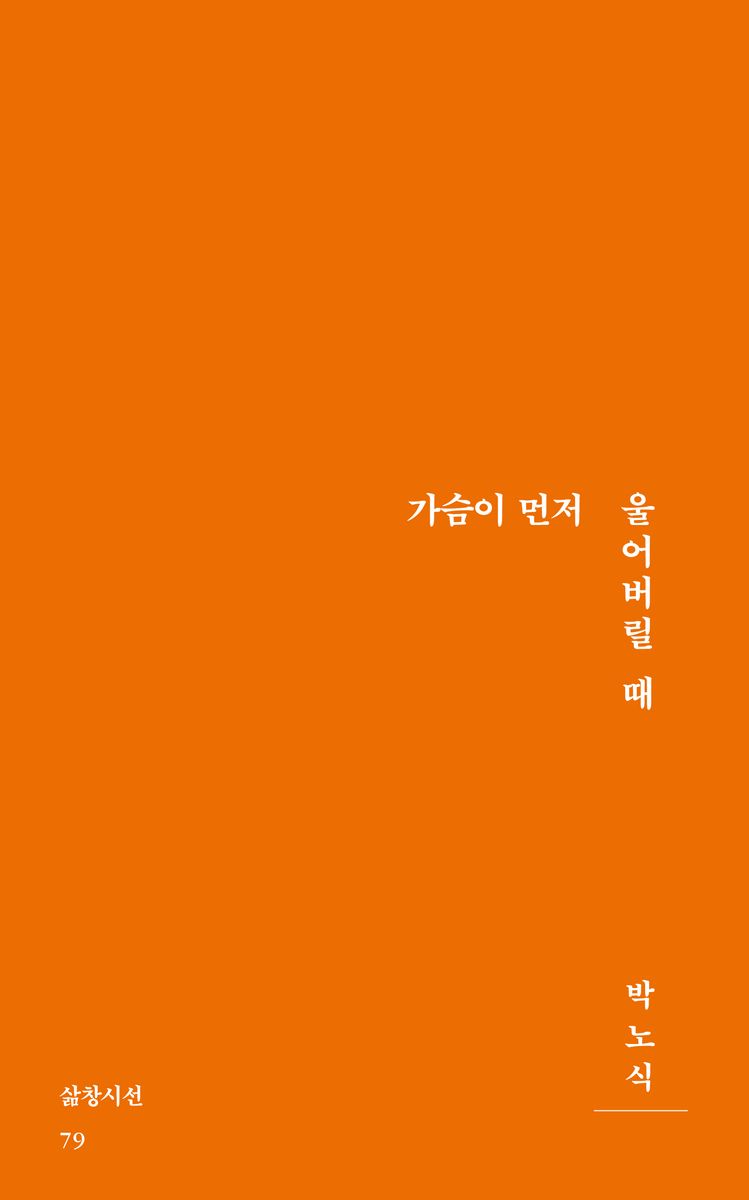 가슴이 먼저 울어버릴 때 : 박노식 시집