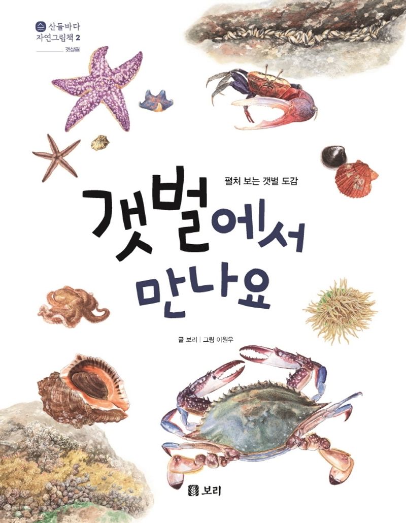 갯벌에서 만나요 : 펼쳐 보는 갯벌 도감