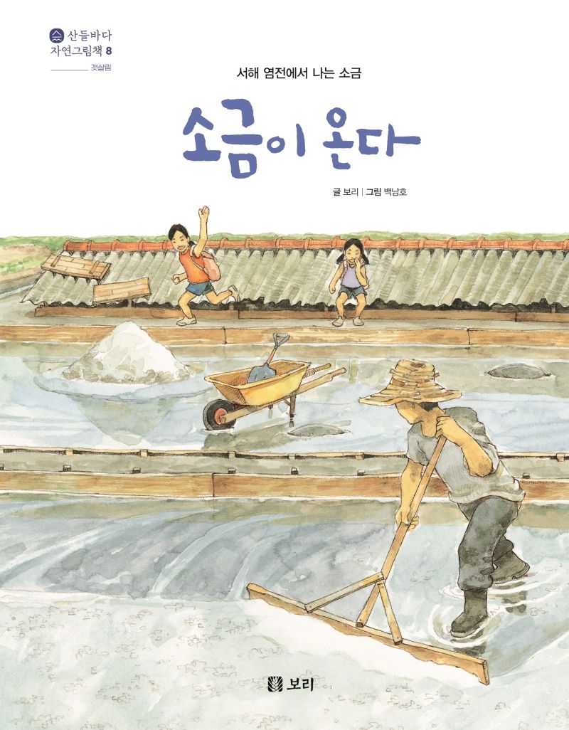 소금이 온다 : 서해 염전에서 나는 소금