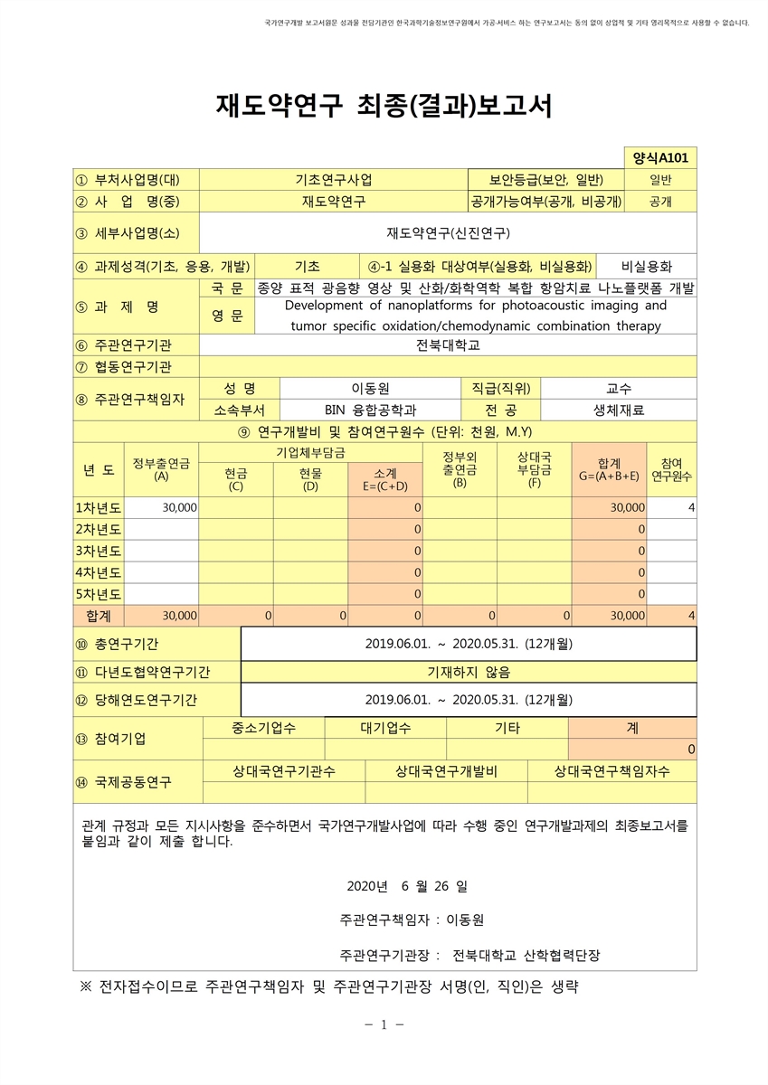 종양 표적 광음향 영상 및 산화/화학역학 복합 항암치료 나노플랫폼 개발 [전자자료]