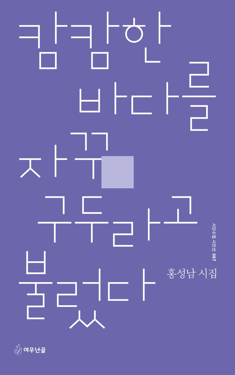 캄캄한 바다를 자꾸 구두라고 불렀다 : 홍성남 시집