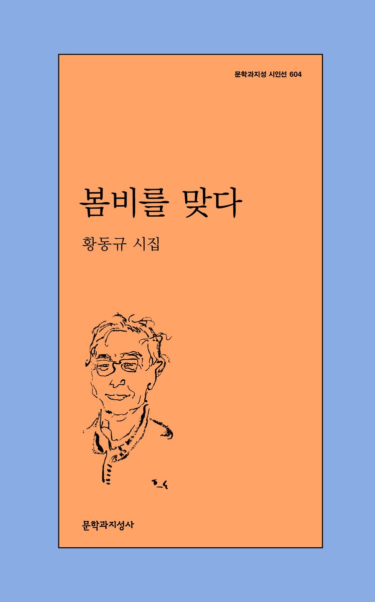 봄비를 맞다 : 황동규 시집