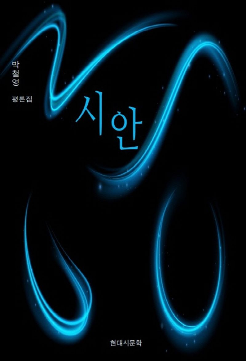 시안 : 박철영 평론집