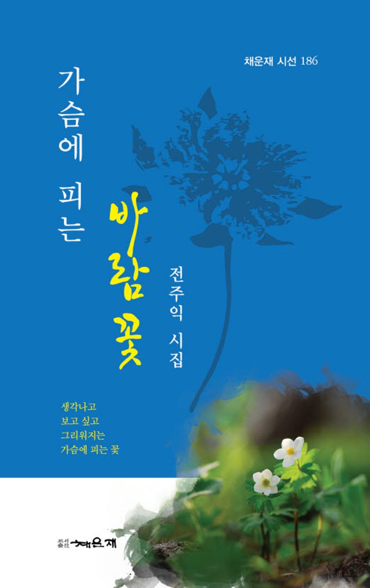 가슴에 피는 바람꽃 : 전주익 시집