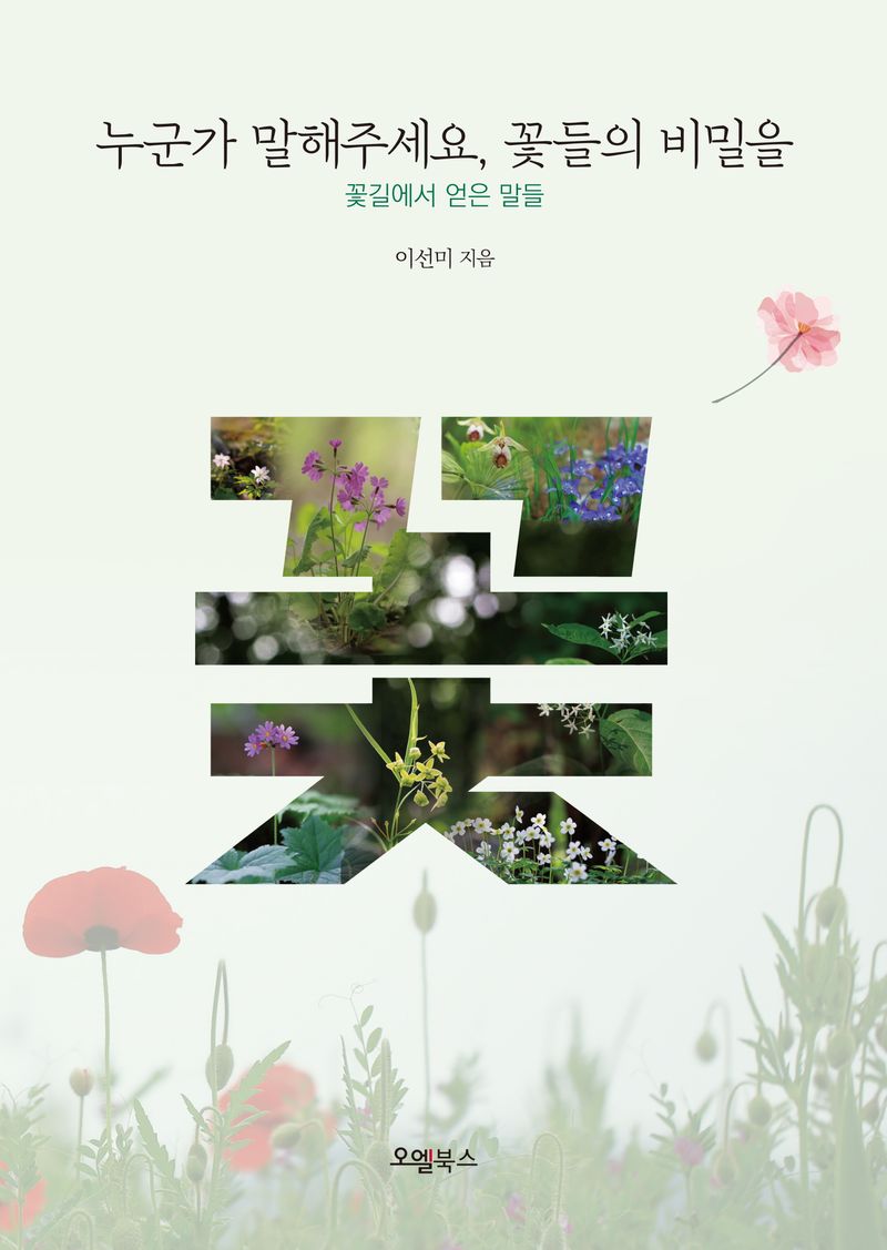 누군가 말해주세요, 꽃들의 비밀을 : 꽃길에서 얻은 말들