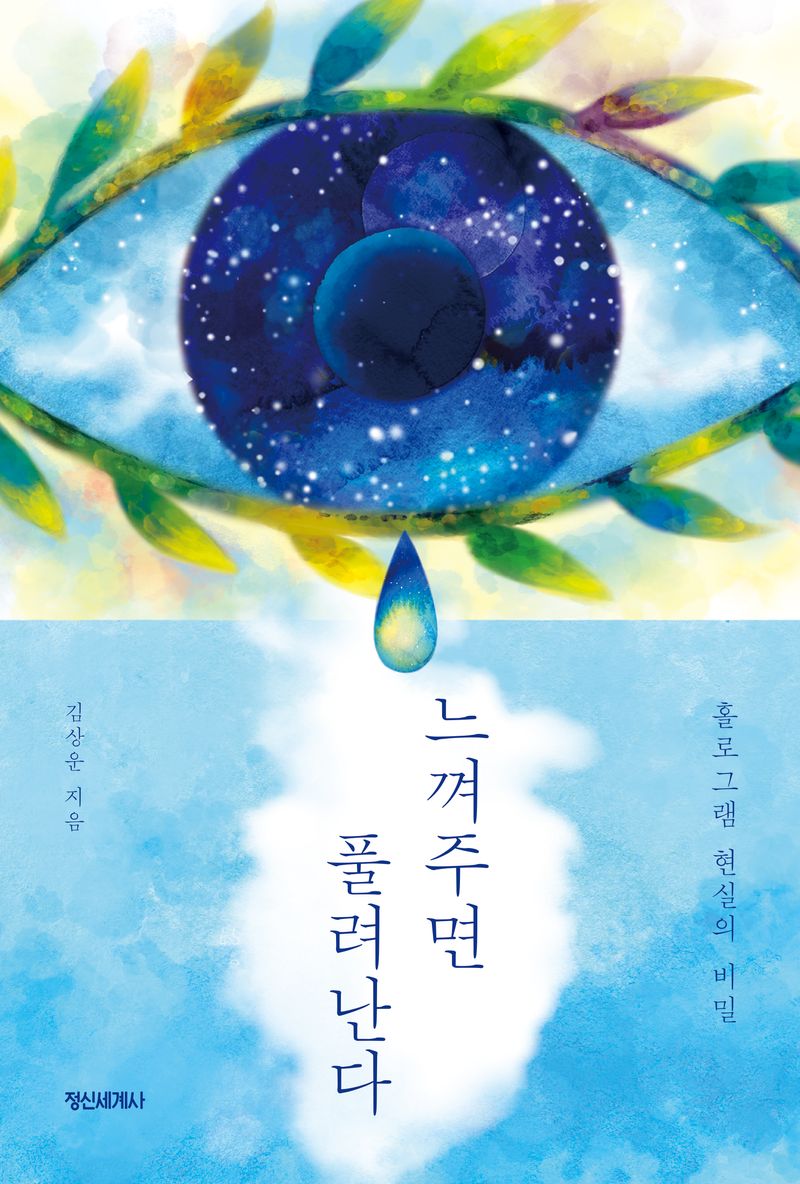 느껴주면 풀려난다 : 홀로그램 현실의 비밀 / 김상운 지음