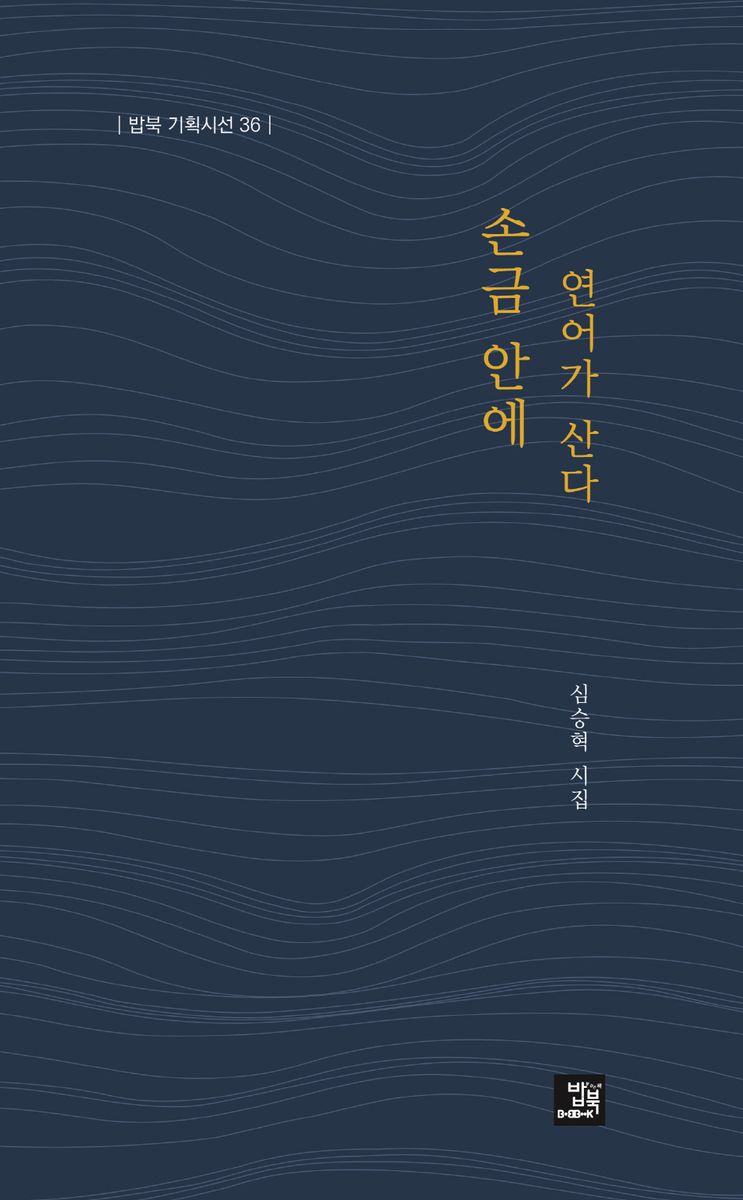 손금 안에 연어가 산다 : 심승혁 시집