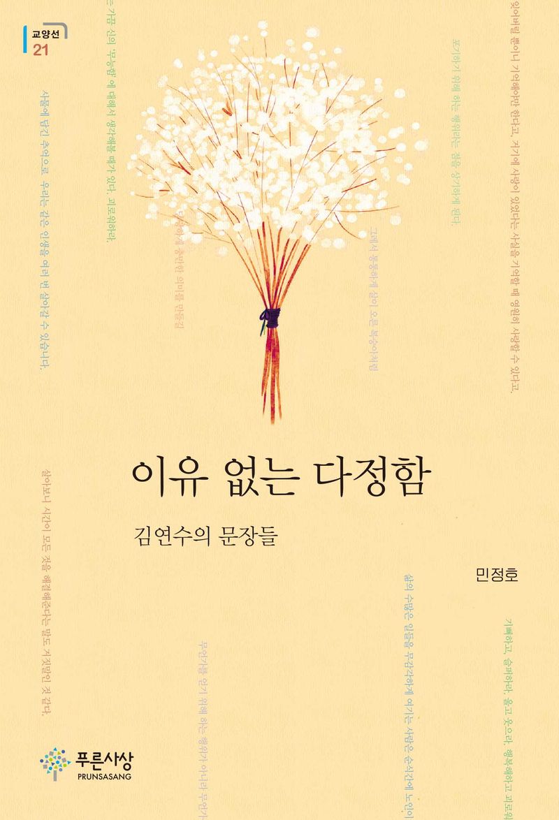 이유 없는 다정함 : 김연수의 문장들