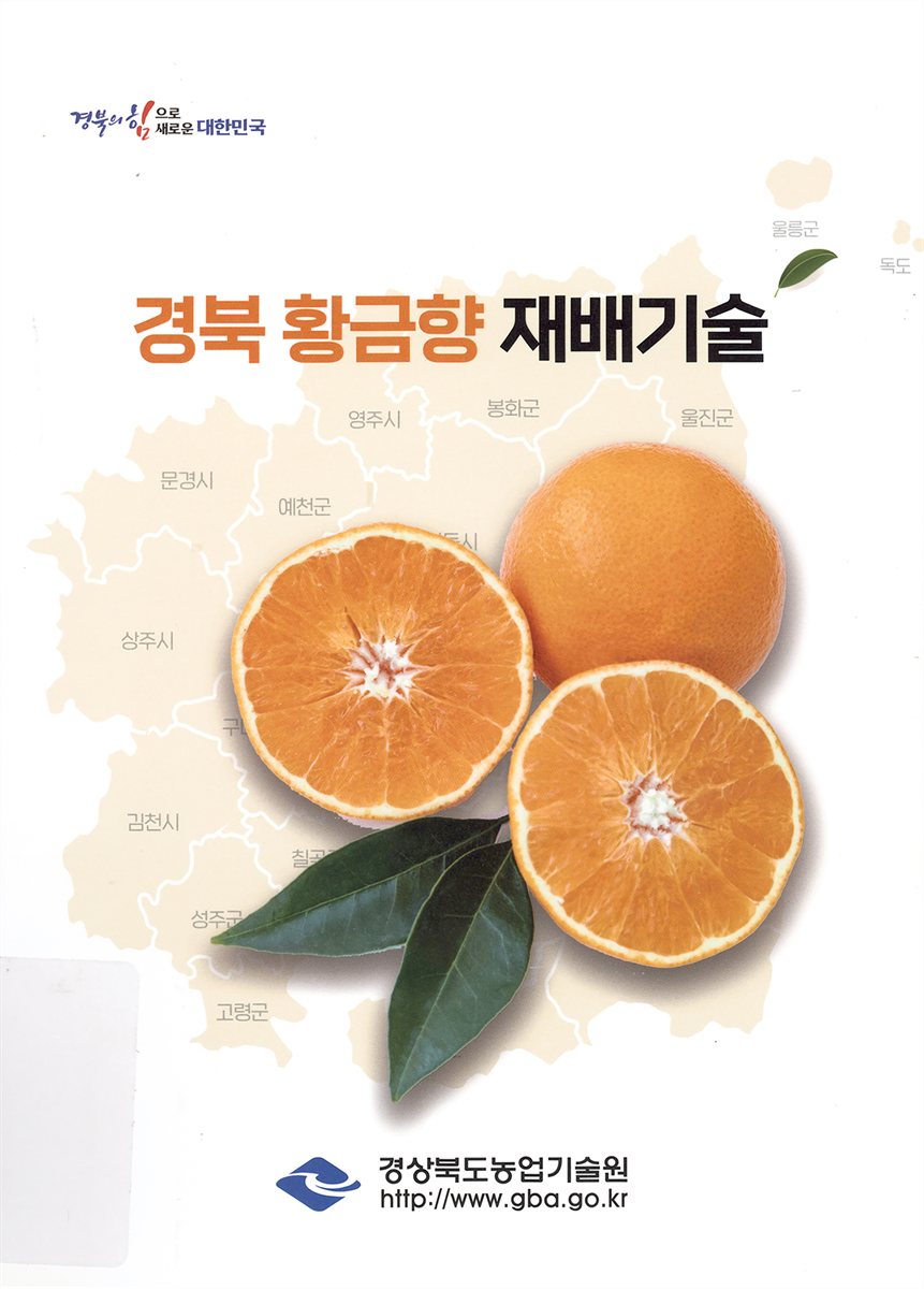 경북 황금향 재배기술
