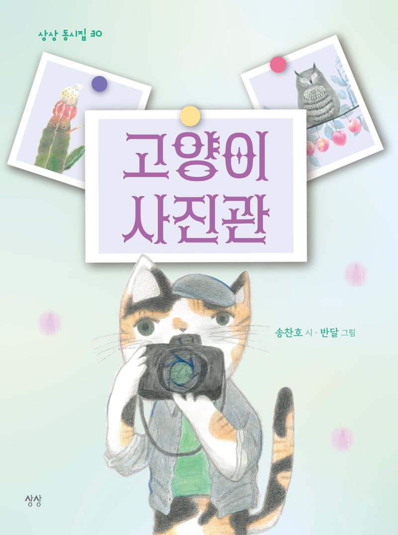 고양이 사진관
