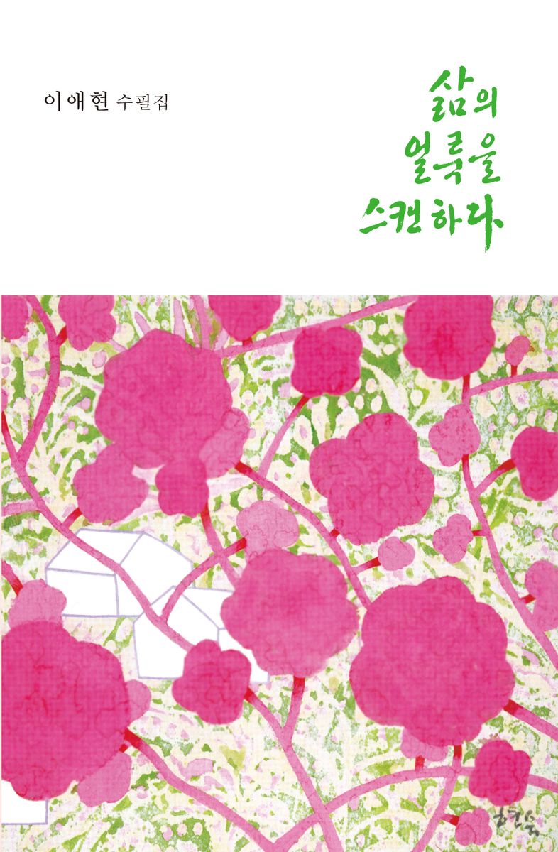 삶의 얼룩을 스캔하다 : 이애현 수필집