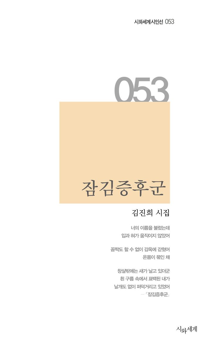 잠김증후군 : 김진희 시집