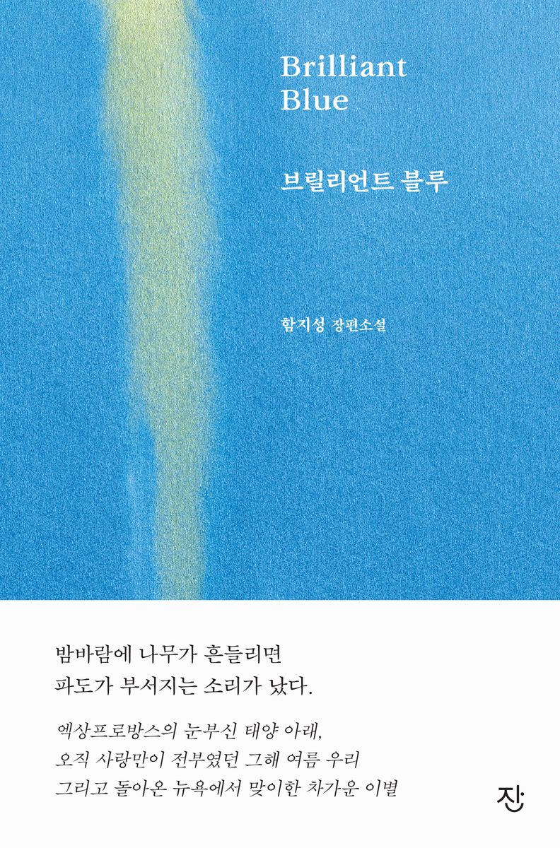 브릴리언트 블루 = Brilliant blue : 함지성 장편소설