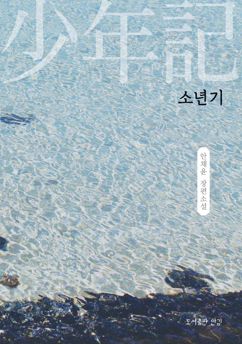 소년기 : 안채윤 장편소설