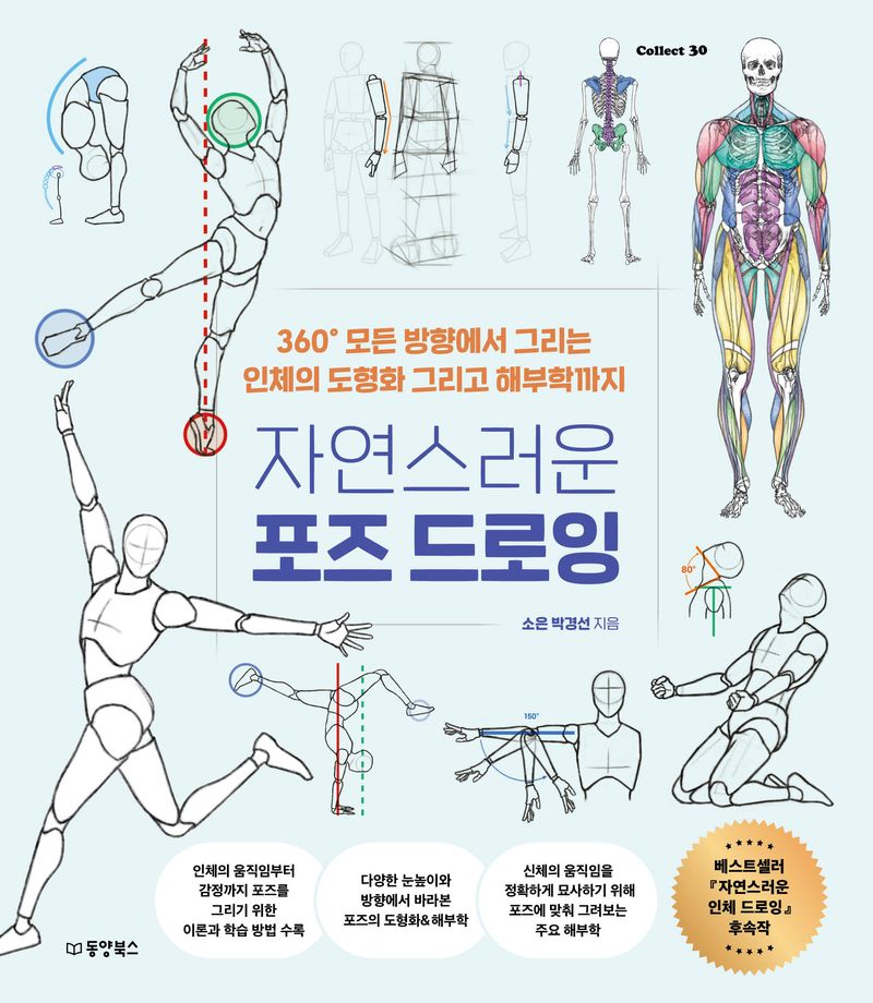 자연스러운 포즈 드로잉 : 360° 모든 방향에서 그리는 인체의 도형화 그리고 해부학까지