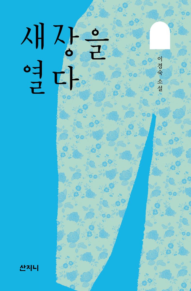 새장을 열다 : 이경숙 소설