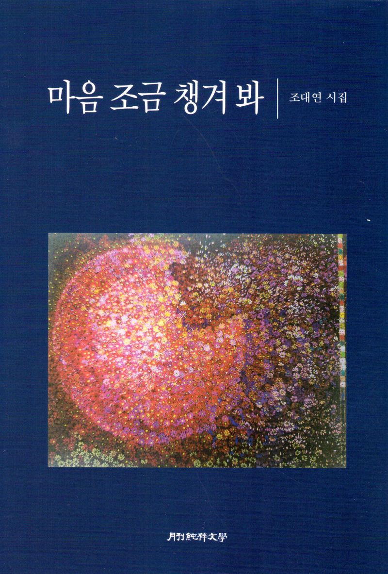 마음 조금 챙겨 봐 : 조대연 시집
