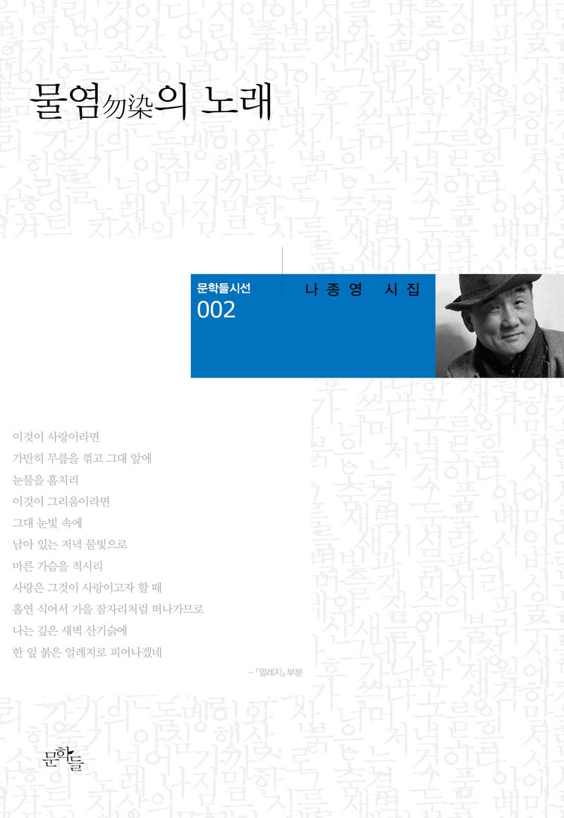 물염(勿染)의 노래 : 나종영 시집