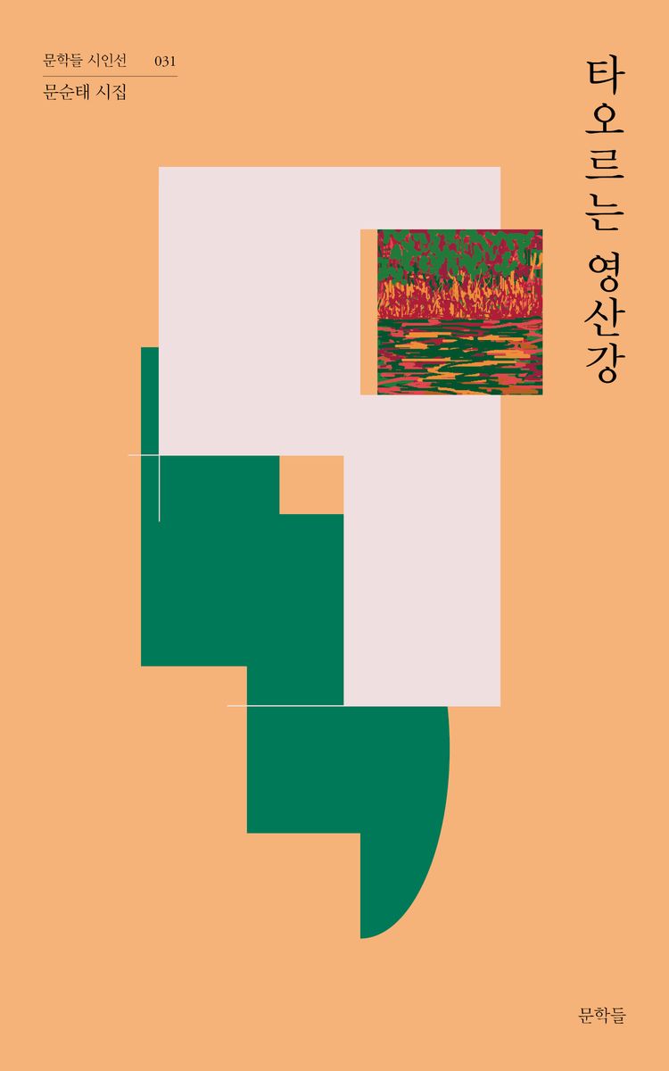 타오르는 영산강 : 문순태 시집