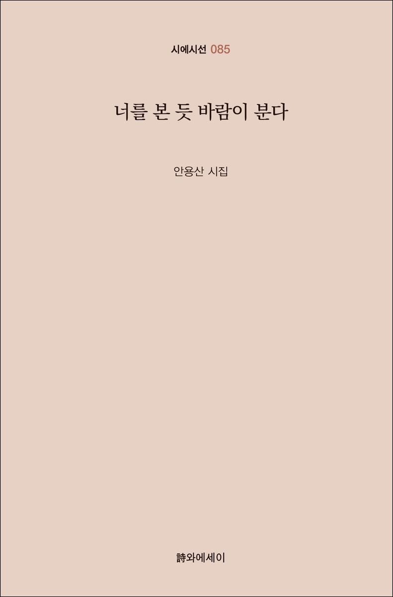 너를 본 듯 바람이 분다 : 안용산 시집