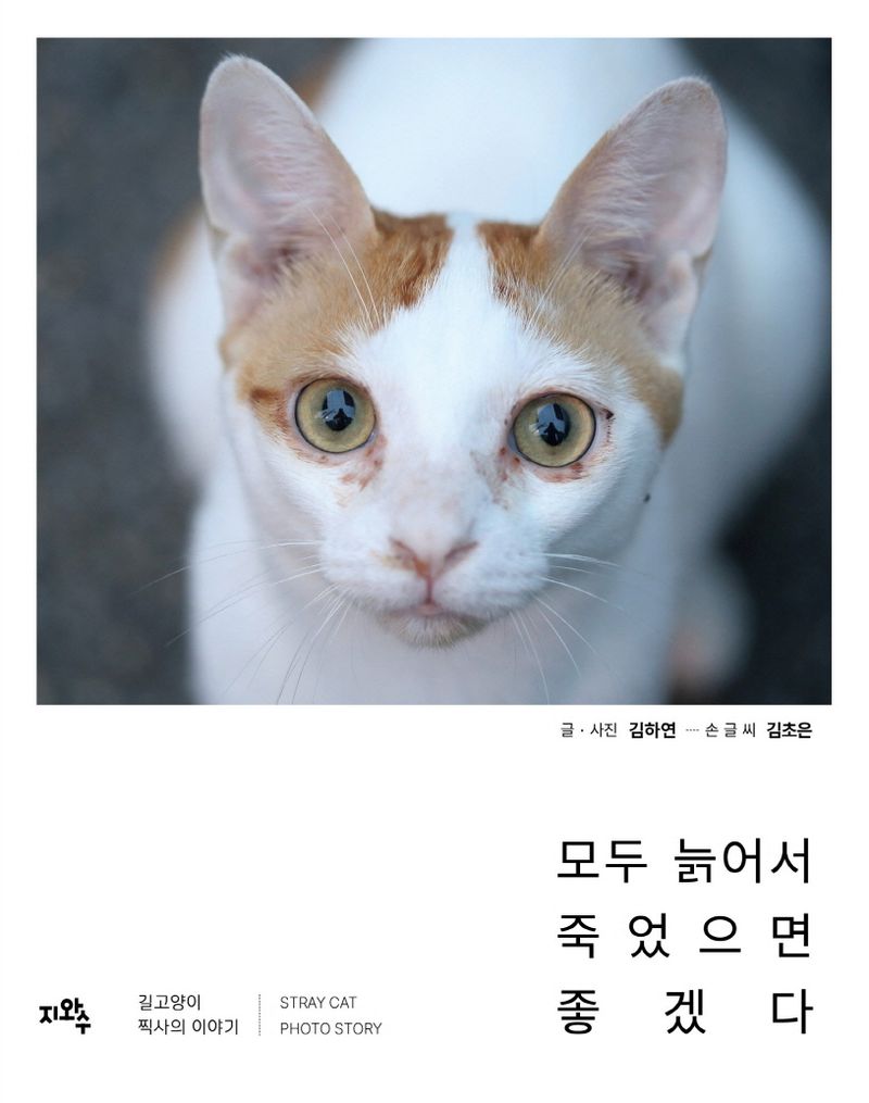 모두 늙어서 죽었으면 좋겠다 : 길고양이 찍사의 이야기 : stray cat photo story