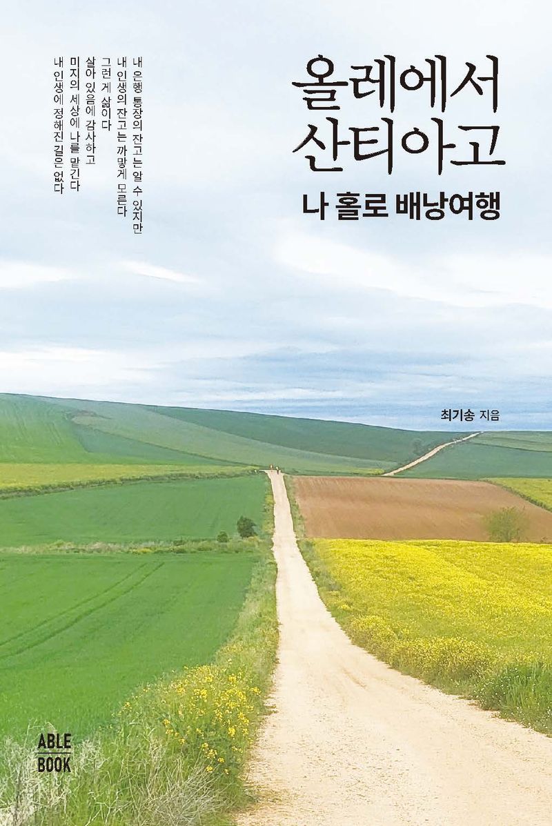 올레에서 산티아고 : 나 홀로 배낭여행