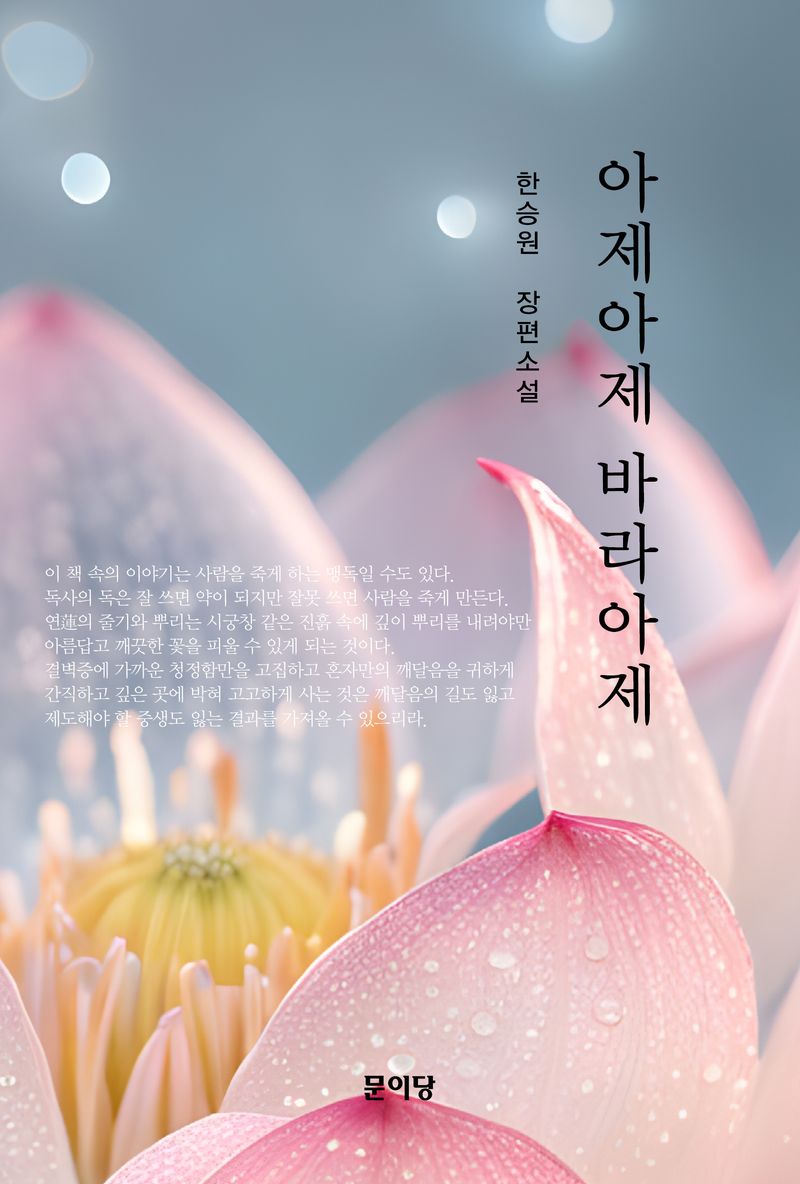 아제아제 바라아제 : 한승원 장편소설