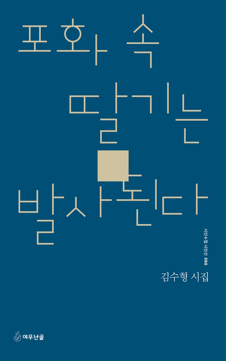 포화 속 딸기는 발사된다 : 김수형 시집