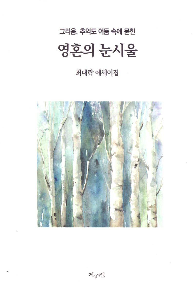 (그리움, 추억도 어둠 속에 묻힌) 영혼의 눈시울 : 최대락 에세이집