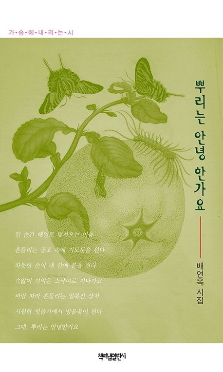 뿌리는 안녕 한가요 : 배연옥 첫시집