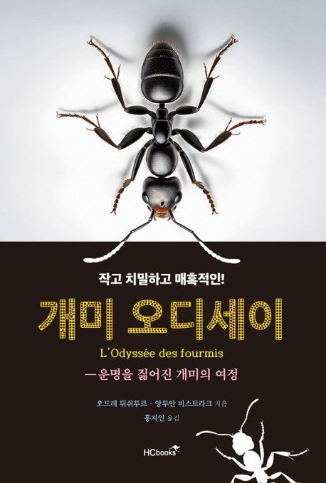 개미 오디세이 : 운명을 짊어진 개미의 여정