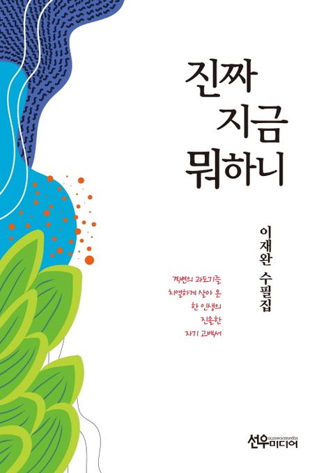 진짜 지금 뭐하니 : 이재완 수필집