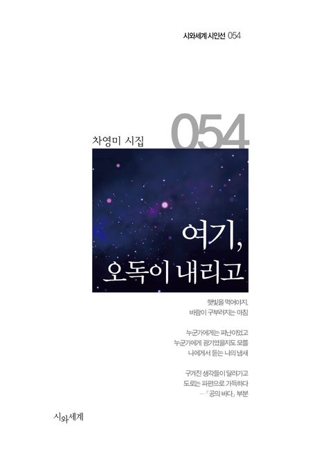 여기, 오독이 내리고 : 차영미 시집