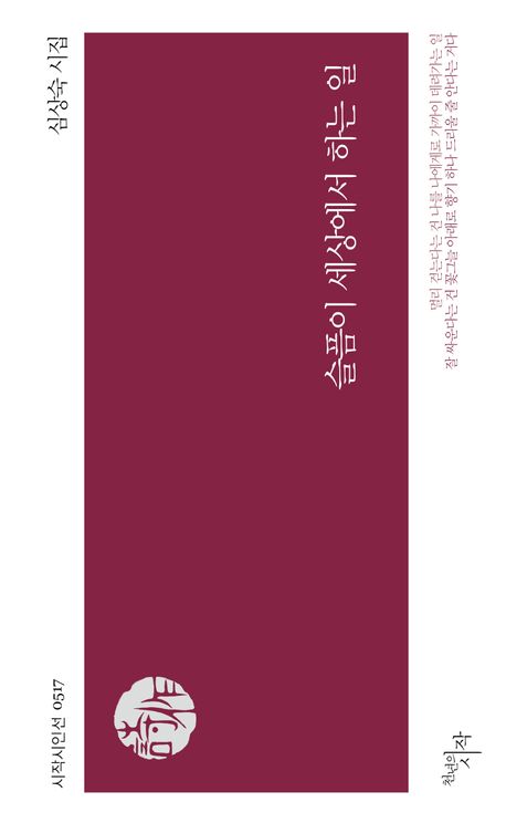 슬픔이 세상에서 하는 일 : 심상숙 시집
