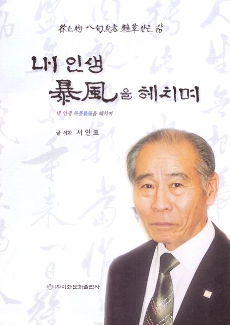 내인생 暴風을 헤치며