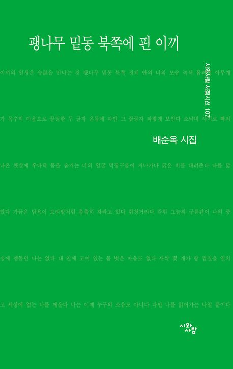 팽나무 밑동 북쪽에 핀 이끼 : 배순옥 시집