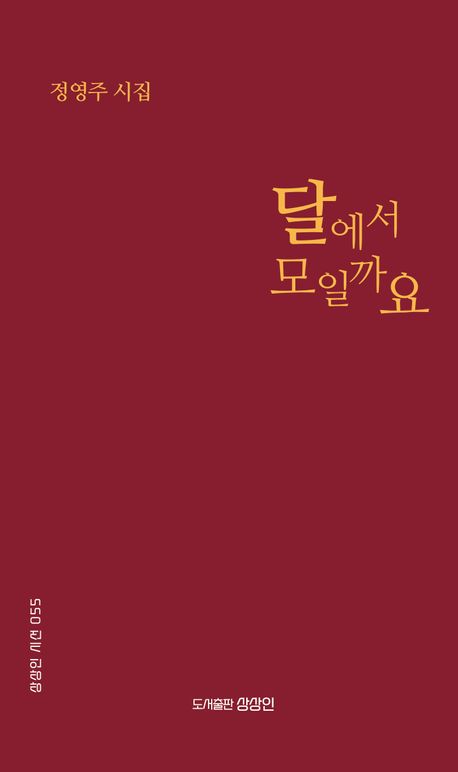 달에서 모일까요 : 정영주 시집