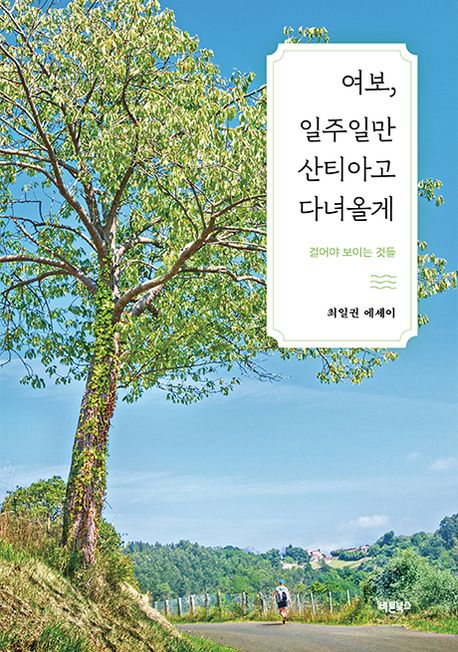 여보, 일주일만 산티아고 다녀올게 : 걸어야 보이는 것들 : 최일권 에세이