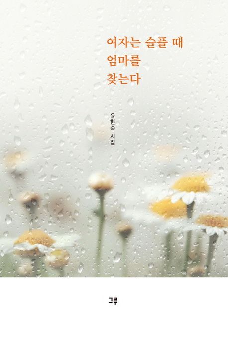 여자는 슬플 때 엄마를 찾는다 : 육현숙 시집