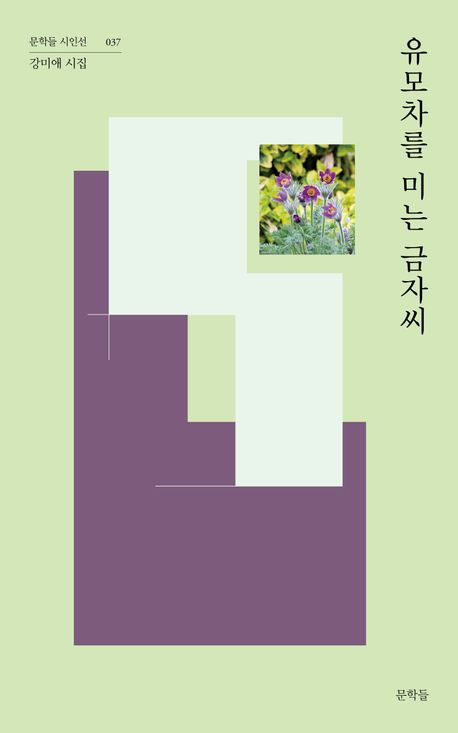 유모차를 미는 금자씨 : 강미애 시집