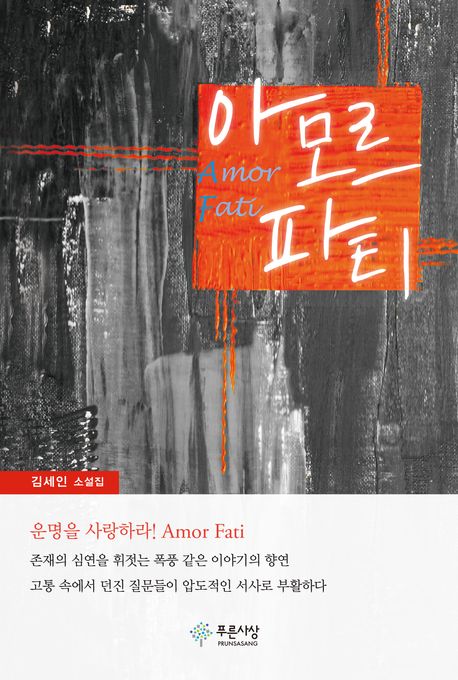 아모르파티 = Amor fati : 김세인 소설집